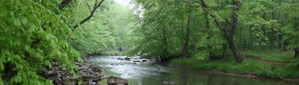 Picture of the Eno River